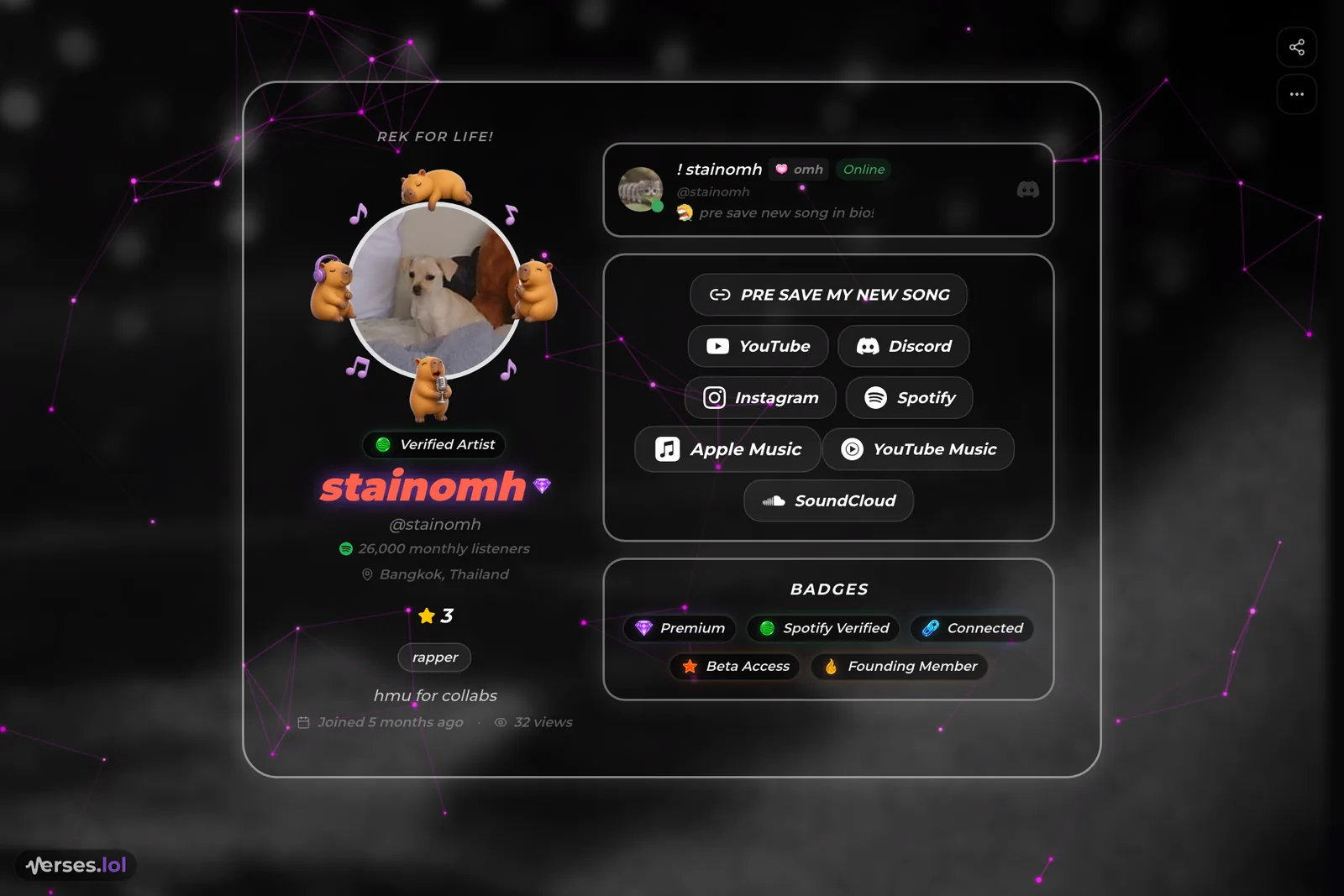 The verses.lol profile of @stainomh — constellation background, glass containers, link buttons and badges